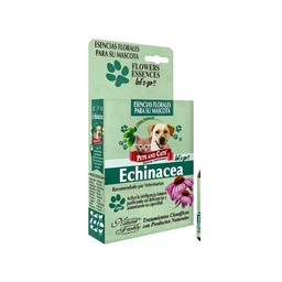 [2550111] P &amp; C ESENCIA ECHINACEA LETS GO FSC x 25 ML