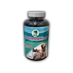 [2920006] MULTIVITAMIINAS GERIATRICOS  FRASCO x 60 TABLETAS